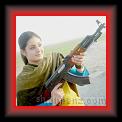 gun wali 2l * 527 x 478 * (31KB)